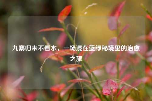 九寨归来不看水,一场浸在蓝绿秘境里的治愈之旅