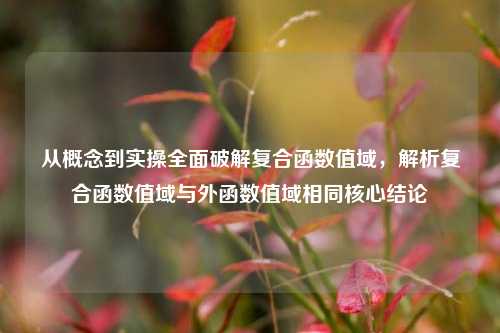 从概念到实操全面破解复合函数值域，解析复合函数值域与外函数值域相同核心结论