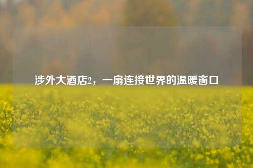 涉外大酒店2，一扇连接世界的温暖窗口