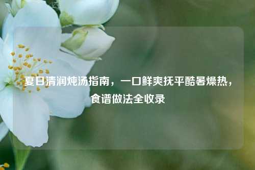 夏日清润炖汤指南，一口鲜爽抚平酷暑燥热，食谱做法全收录