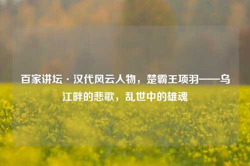 百家讲坛·汉代风云人物，楚霸王项羽——乌江畔的悲歌，乱世中的雄魂