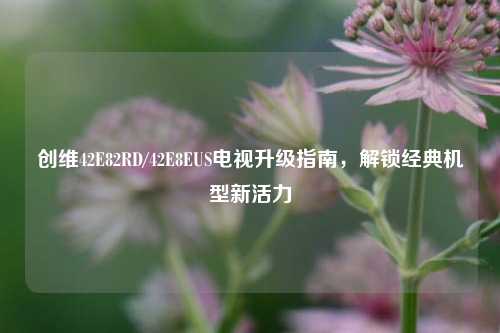 创维42E82RD/42E8EUS电视升级指南，解锁经典机型新活力