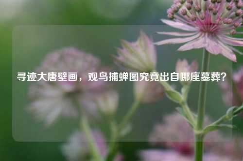 寻迹大唐壁画，观鸟捕蝉图究竟出自哪座墓葬？